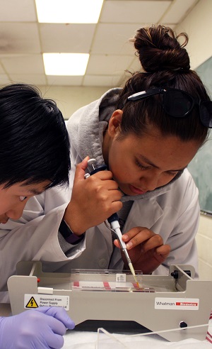 Student pipetting in a lab